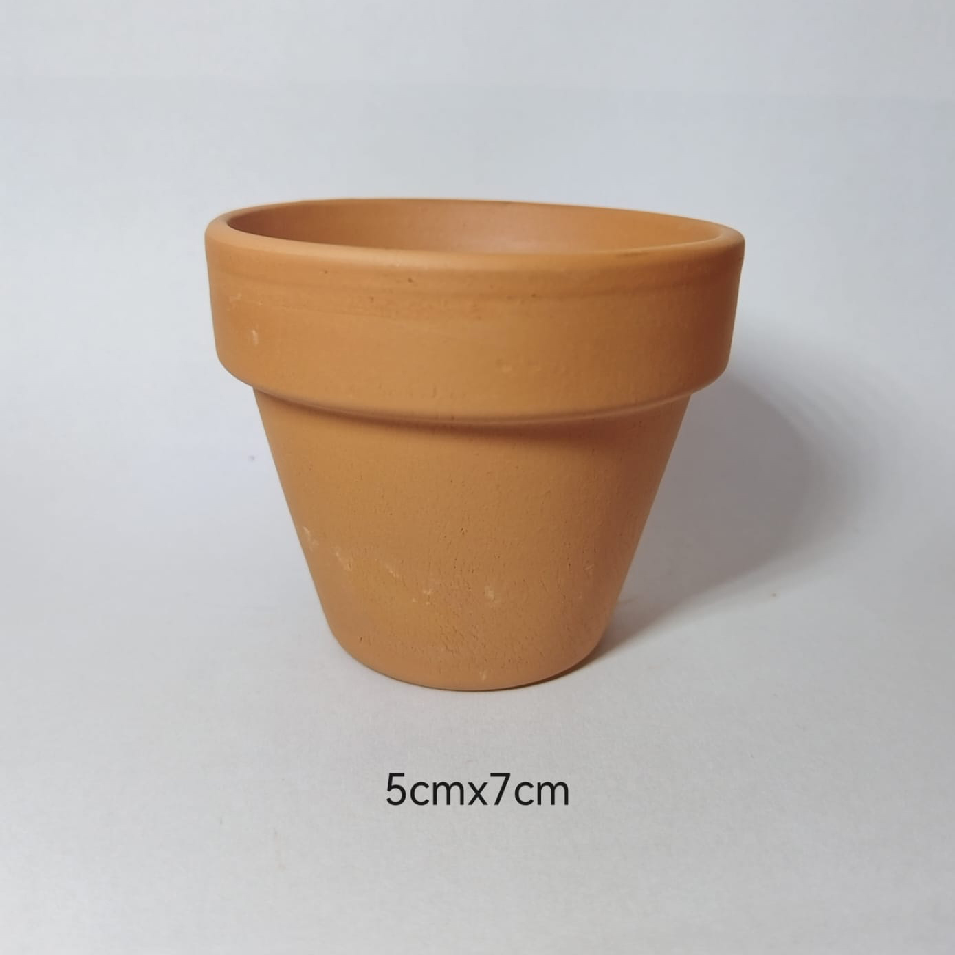 Terracotta Pot and Saucer - Image 3