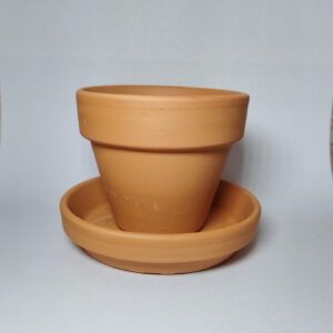 Terracotta Pot and Saucer