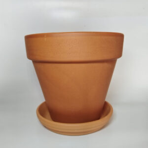 15x13cm Pot & Saucer