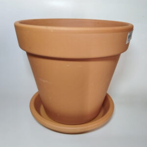 20cm Terracotta Pot & 18cm Saucer