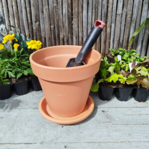 20cm Terracotta Pot & 18cm Saucer