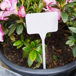 Plant markers pack of 10